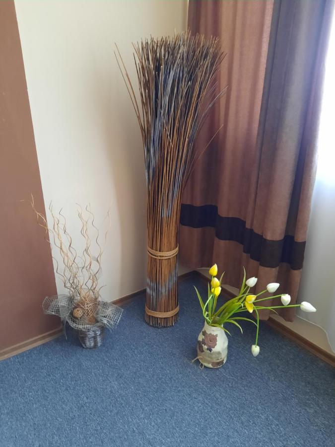 Hotel Mizia Тарговыште Экстерьер фото